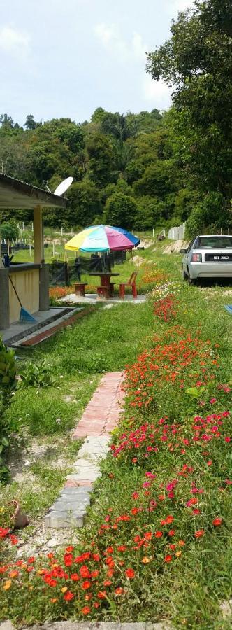 Kuntum Cottage Bed & Breakfast Kampung Tanjung Ipoh Eksteriør bilde