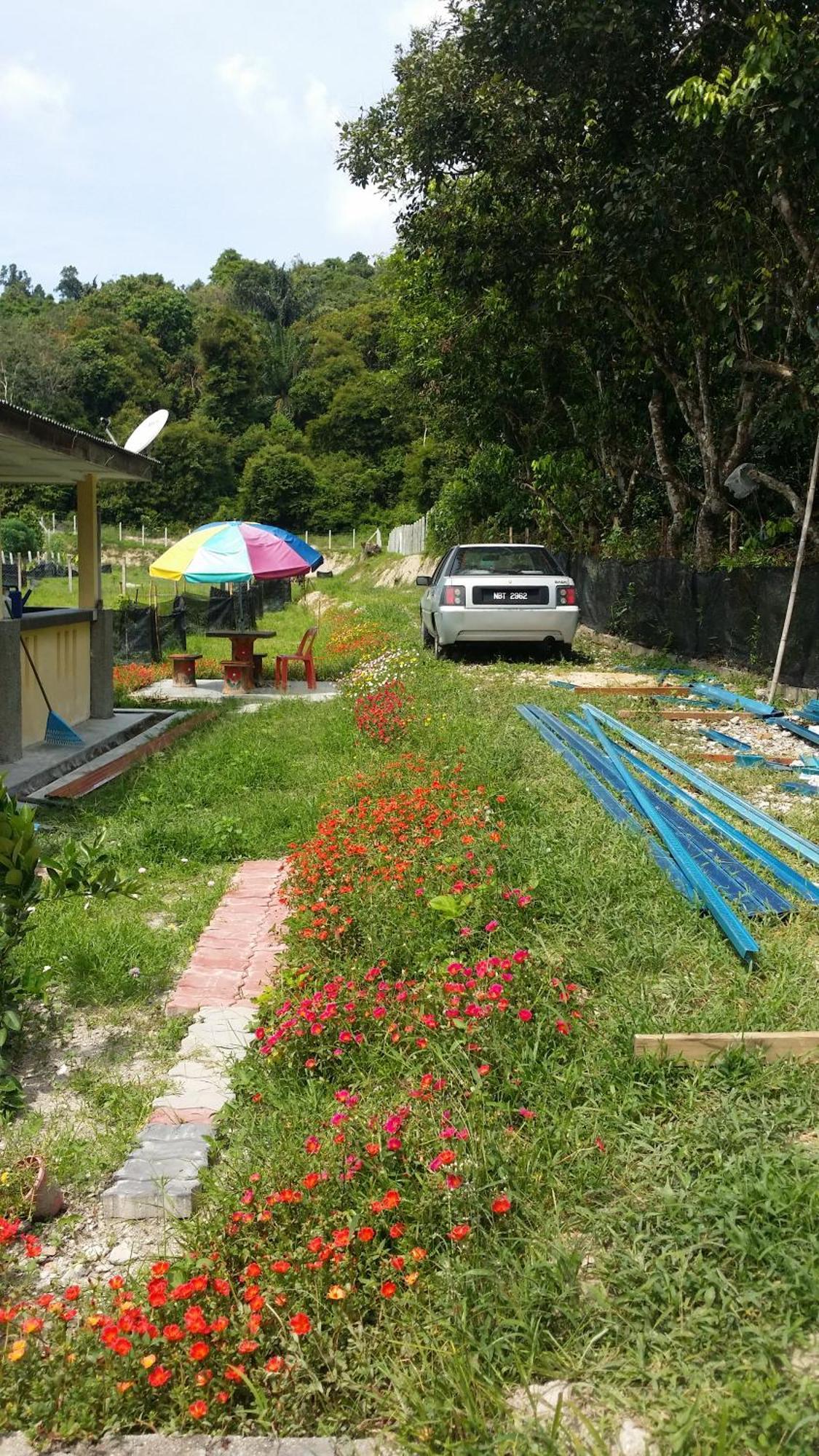 Kuntum Cottage Bed & Breakfast Kampung Tanjung Ipoh Eksteriør bilde